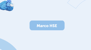 Imagen del recurso de Marco de HSE