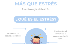 Imagen del recurso de Estrés y su relación con la crisis