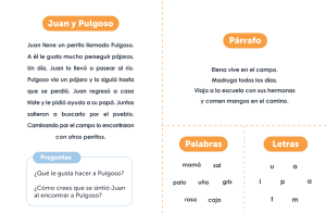 Imagen del recurso de Instrumento de caracterización final