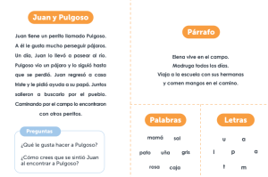 Imagen del recurso de Instrumento de caracterización intermedia