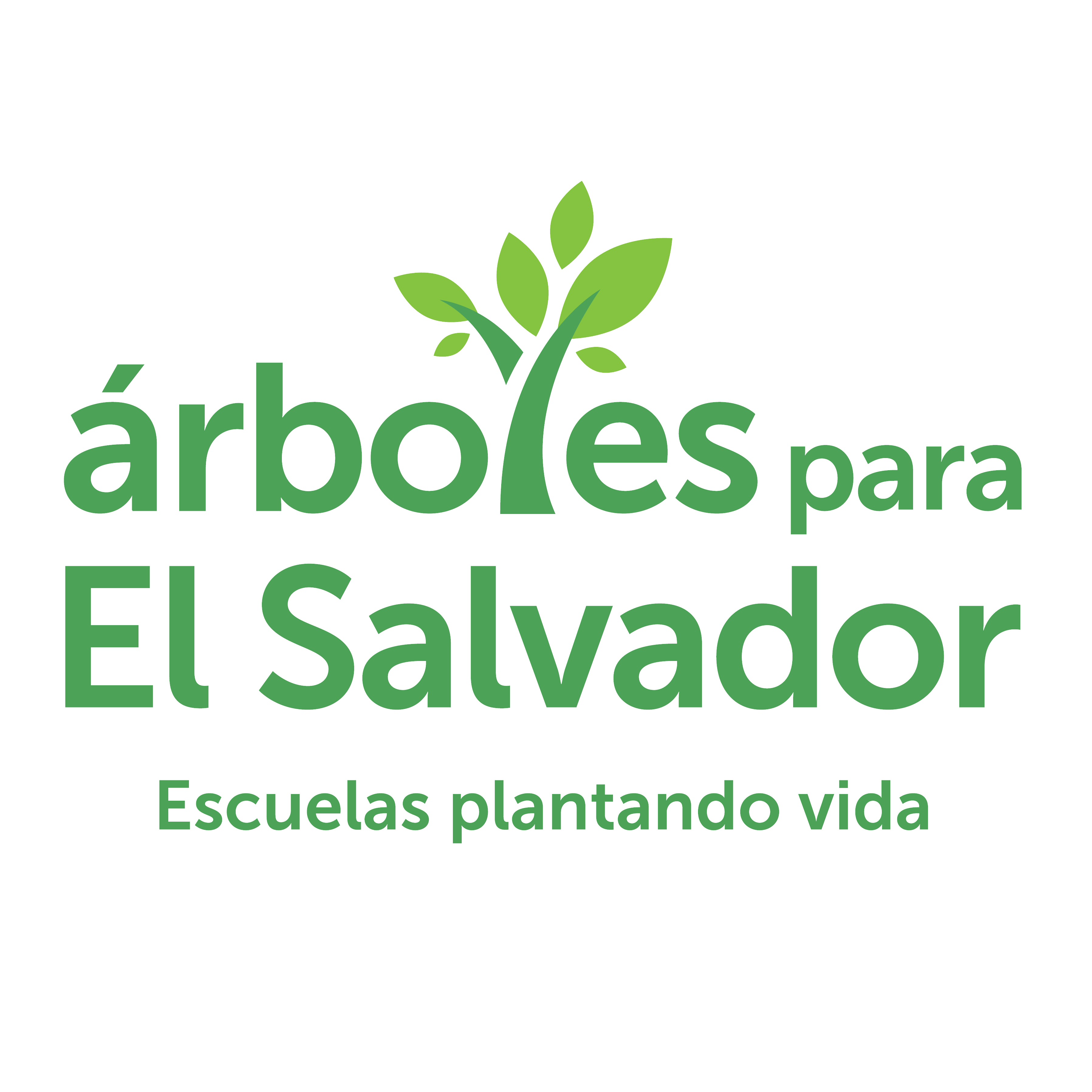 Escuelas plantando vida